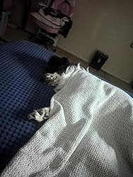 Utopia Bedding Cotton Waffle Blanket 300 GSM (Brown - 90x90 Inches) Soft Lightweight Breathable B... | Amazon (US)