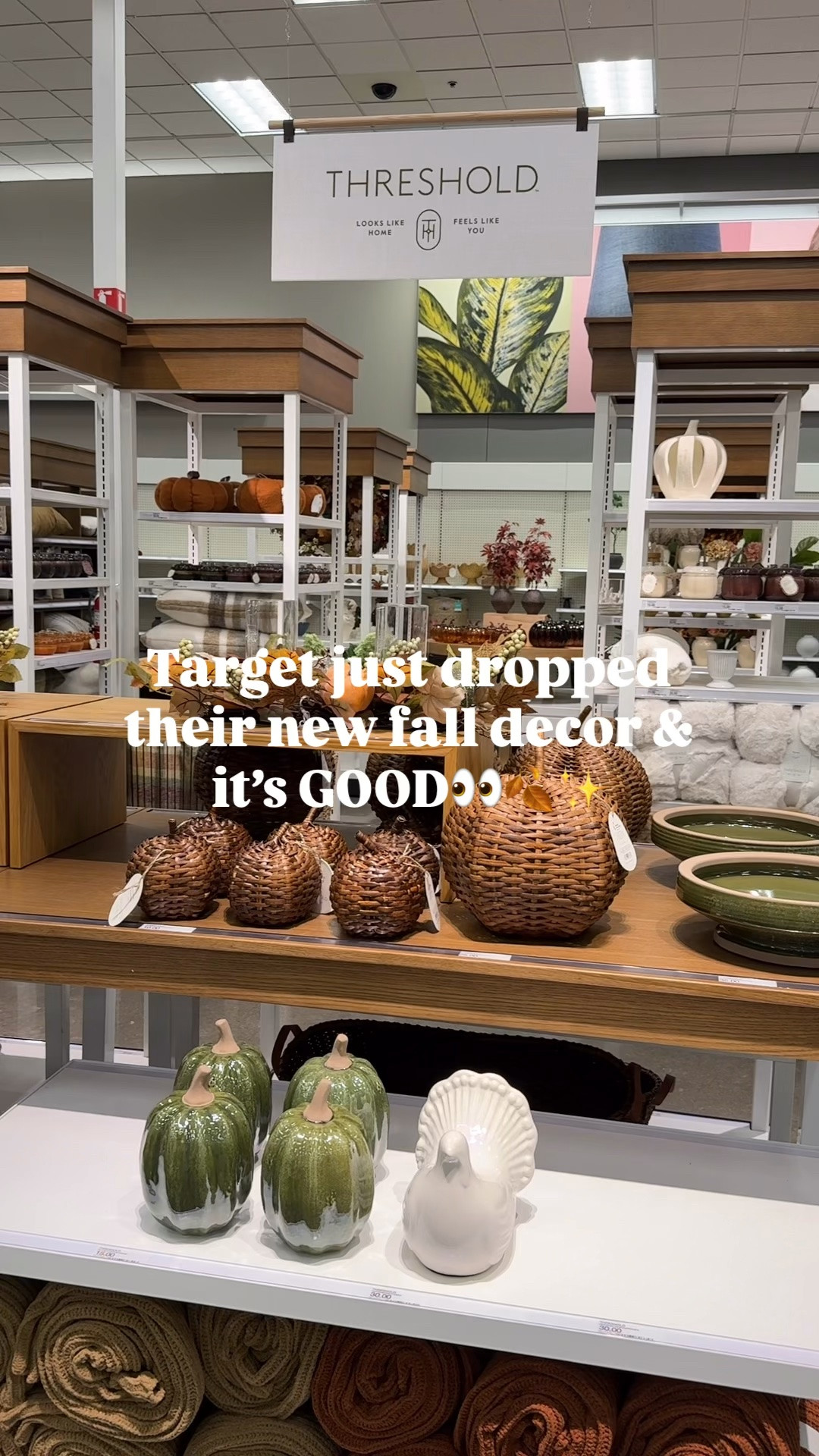Target just dropped their new fall decor and it’s GOOD👀🍂

#LTKHome #LTKSeasonal