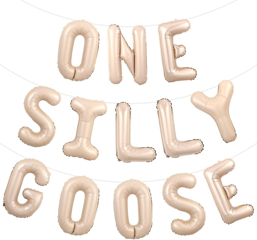 Goose 1st Birthday Party Decor One Silly Goose Birthday Decor One Silly Geese Balloon Banner Our ... | Amazon (US)