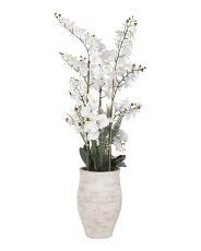 60in Droopy Orchid In Antique Magnesium Oxide Pot | TJ Maxx