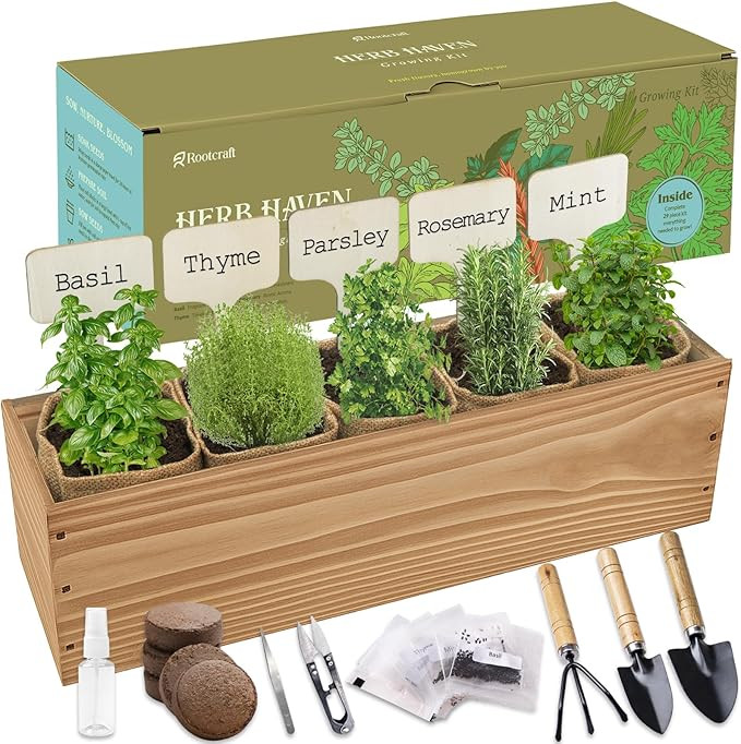 5 Herb Garden Planter Indoor with Wooden Box, Home Kitchen Seed Starter Kit Including Basil, Thym... | Amazon (US)