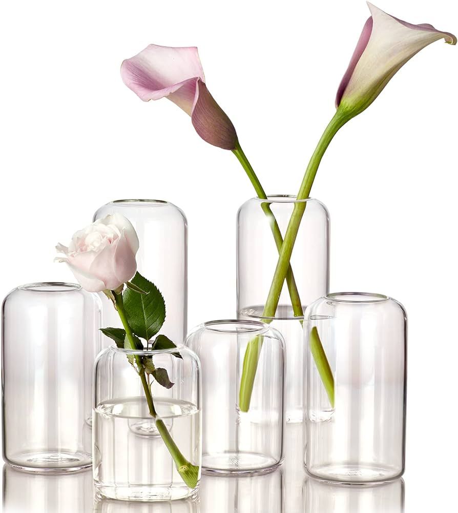 ZENS Bud Vases Set of 6, Minimalist Clear Small Glass Vase for Home Decor Centerpieces, Modern Fl... | Amazon (US)