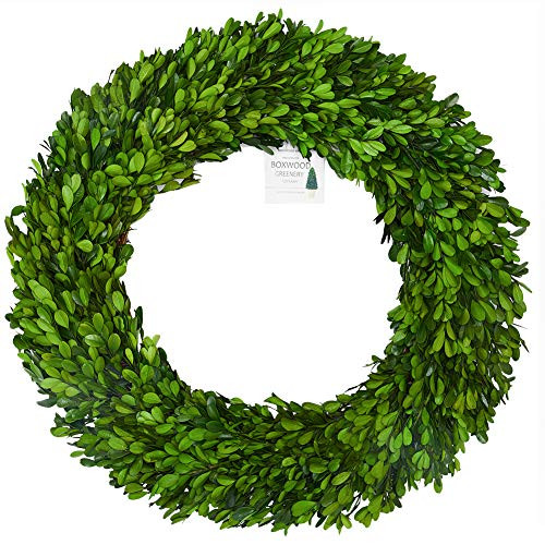 BOXWOOD VALLEY 24 inch XX-Large Preserved Boxwood Wreath, Wedding Home Decoration, Farmhouse Style Realistic Full Green Real Boxwood Wreath, Indoor Décor for Halloween, Christmas Wreath (Wreath, 24") | Amazon (US)