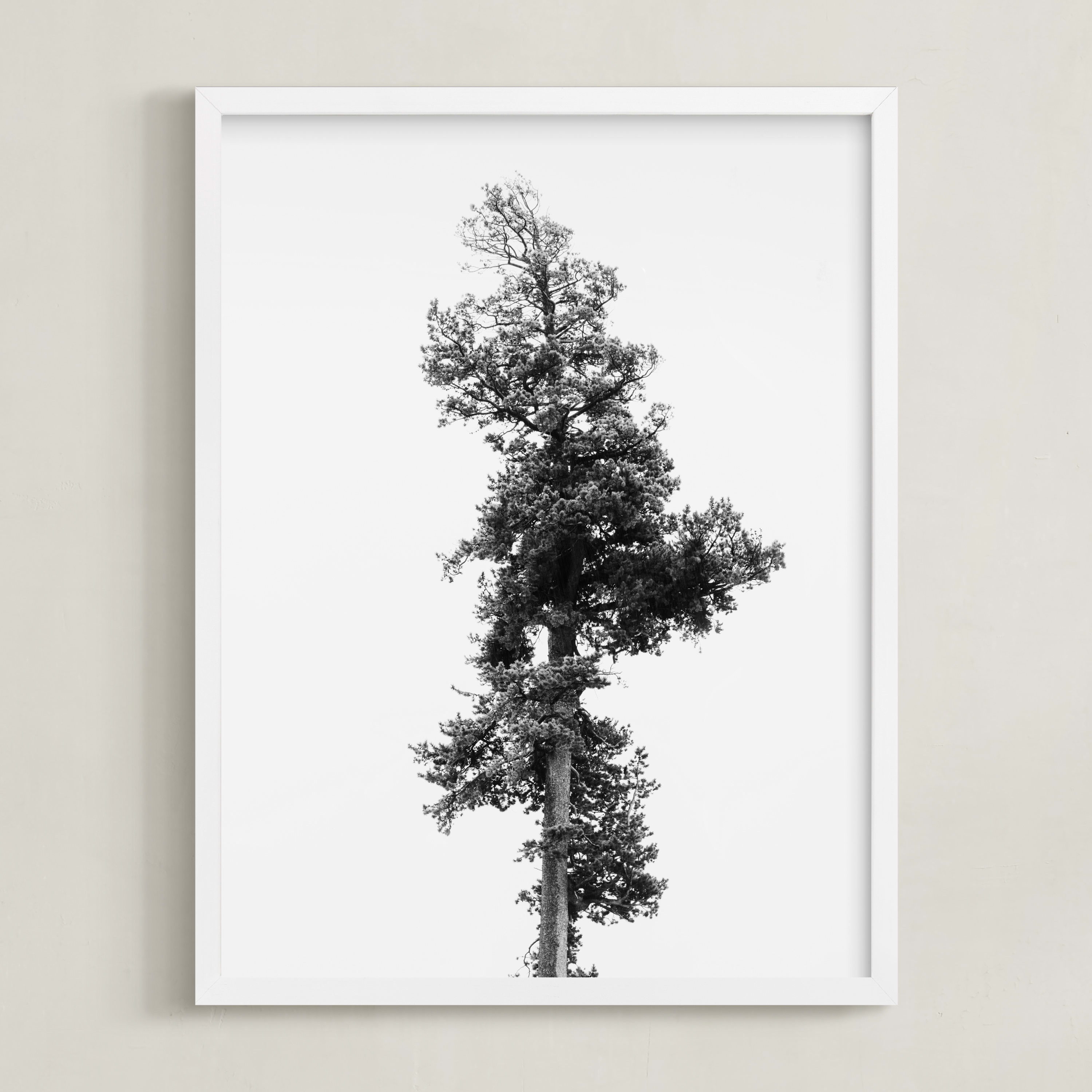 "Solo" - Photography Limited Edition Art Print by Kamala Nahas. | Minted