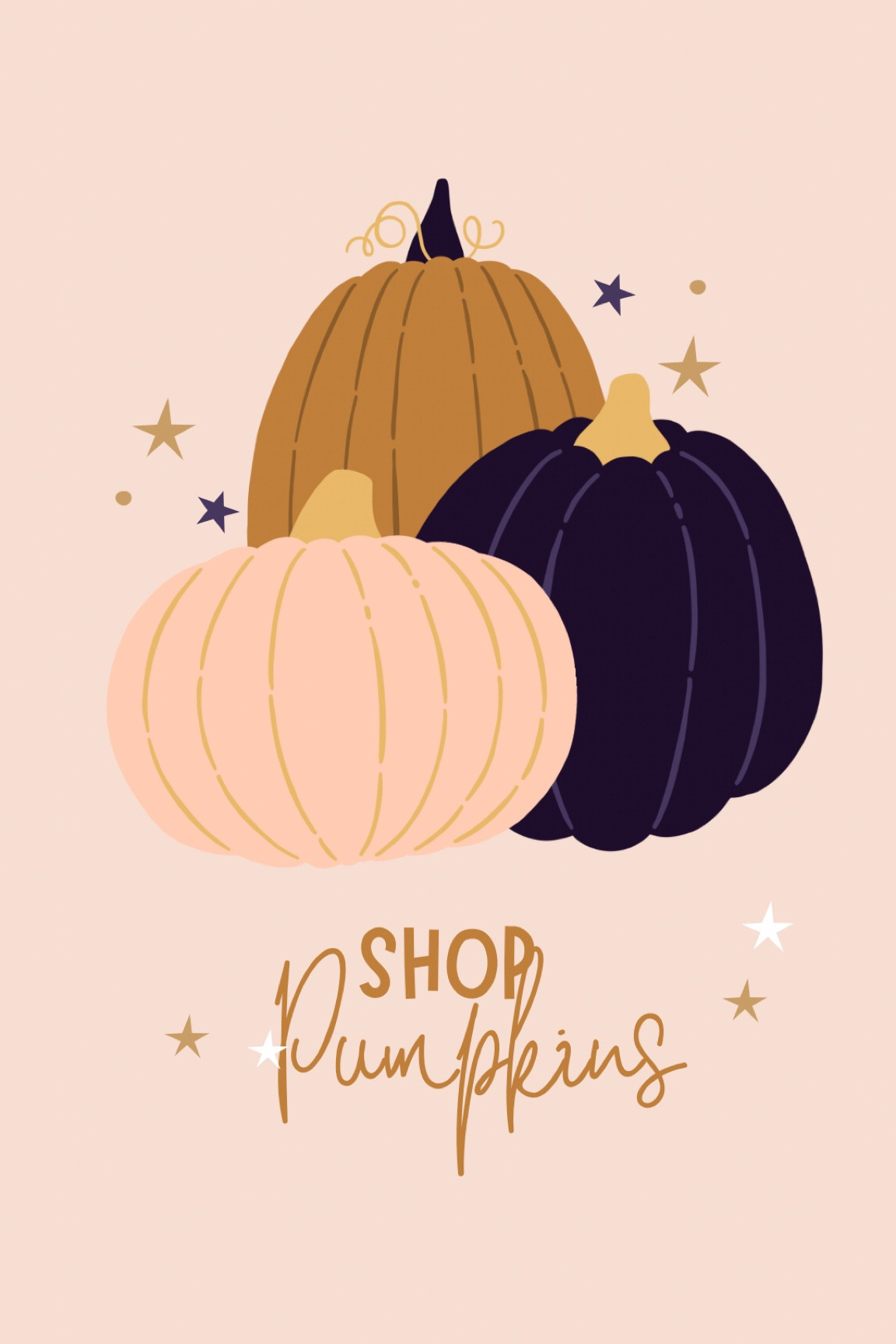 More pumpkins 

#LTKHalloween #LTKSeasonal #LTKHoliday