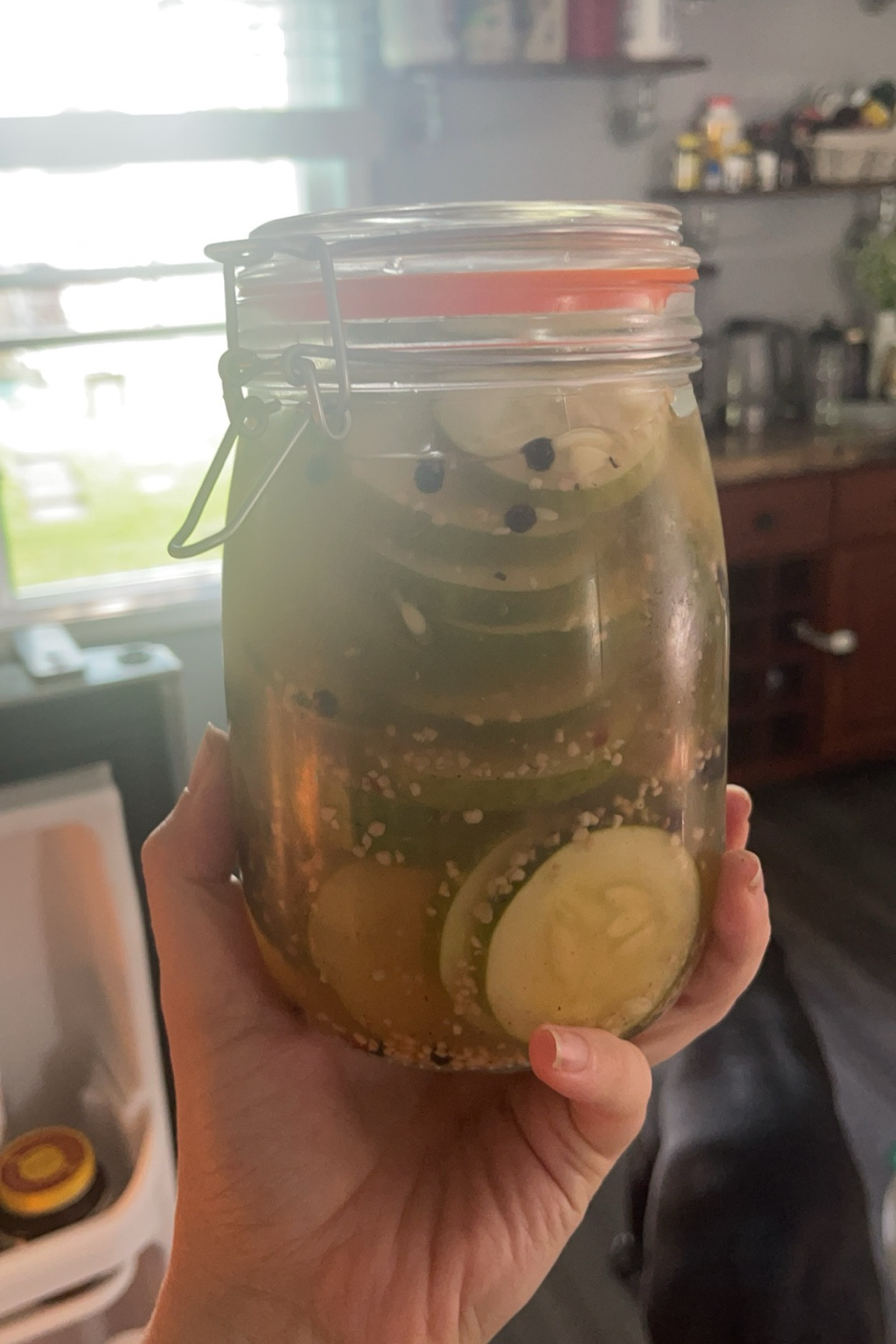 My favorite glass jars! These are great for making pickles, sourdough starter, really anything! I just wouldn’t use these to can long term!!

#LTKSeasonal #LTKFindsUnder50 #LTKFamily