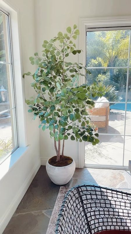 One of my best sellers this week was this faux eucalyptus tree from Target. It’s a pretty one! 

#fauxplant #fauxtree #targetfinds #targetsyle

#LTKhome