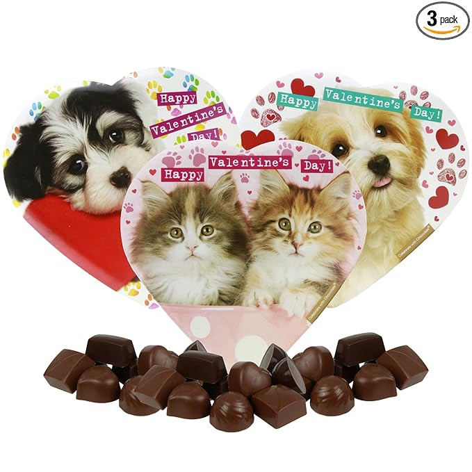 Needzo Valentines Day Heart Shaped Gift Boxes with Dogs & Cats Bundle, 3 Mini Box with Assorted C... | Amazon (US)