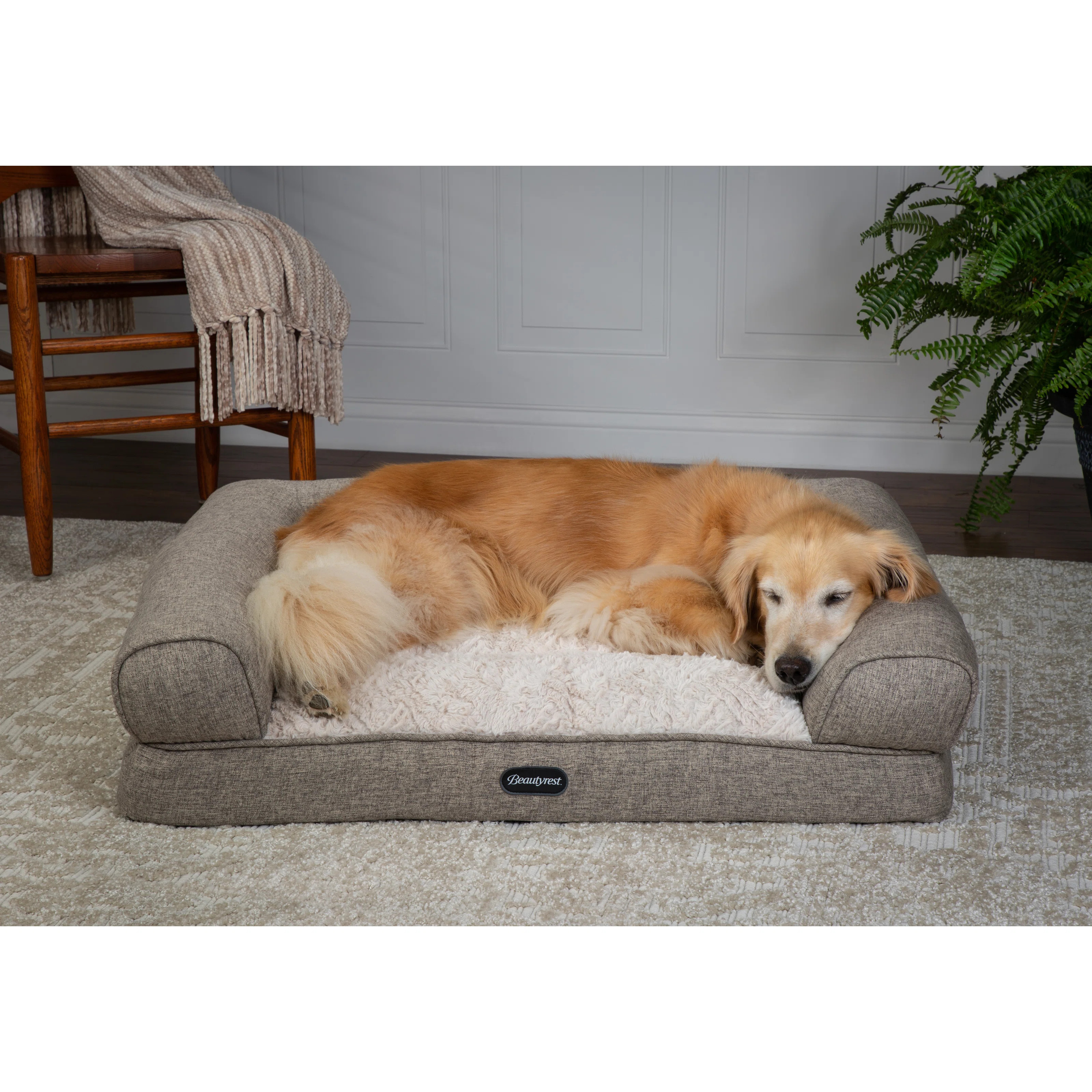 Beautyrest Lux Lounger Memory Foam Couch Bed | Wayfair North America