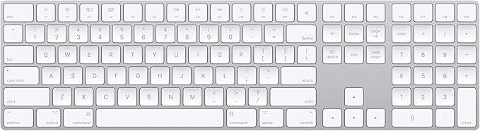Apple Magic Keyboard with Numeric Keypad: Wireless, Bluetooth, Rechargeable. Works with Mac, iPad... | Amazon (US)