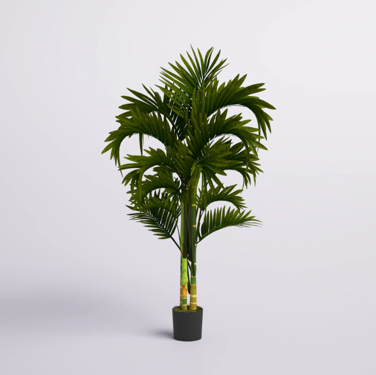 Faux Palm Tree in Planter 

 #LTKHome