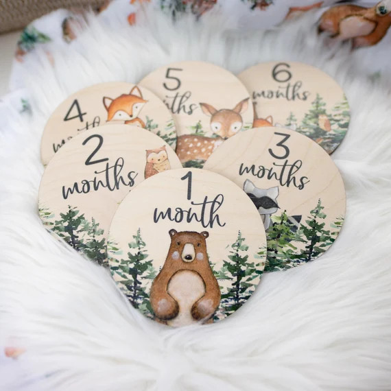 Woodland Milestone Cards Baby Milestone Woodland Discs - Etsy | Etsy (US)