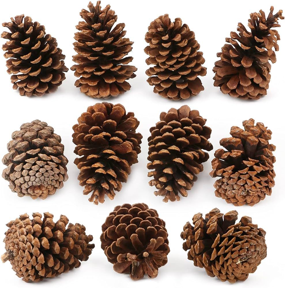 Yexpress 12 Pack Large Natural Pinecones, 3.5" to 4.7" Christmas Rustic Natural Pine Cones Fall Orna | Amazon (US)