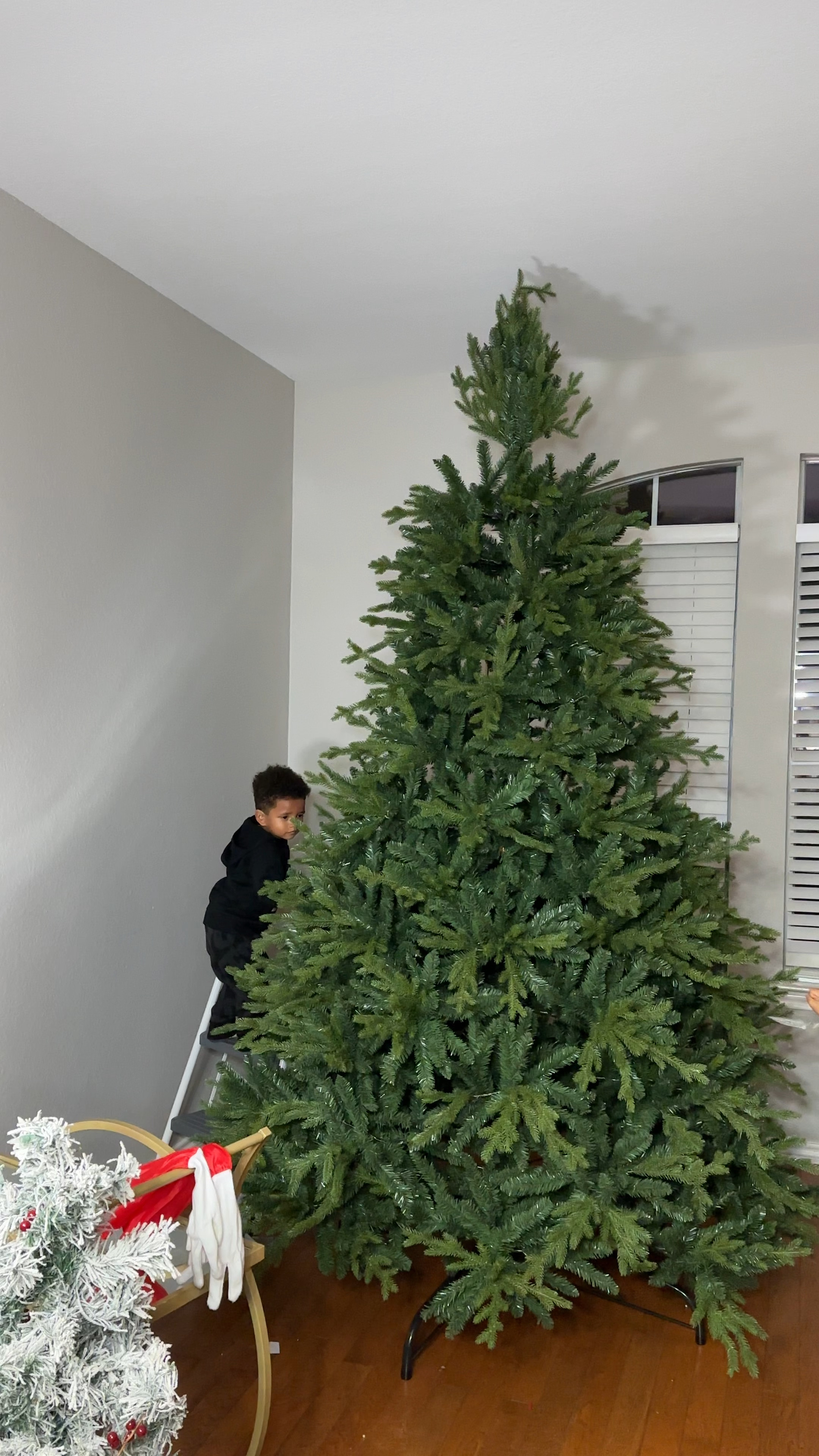 Setting up our #Christmas tree early is one of the best things we have done! It’s out of the way and we can enjoy all the holiday activities with the kids, rather than worrying about decorating! 

#LTKHoliday #LTKSeasonal #LTKHolidaySale