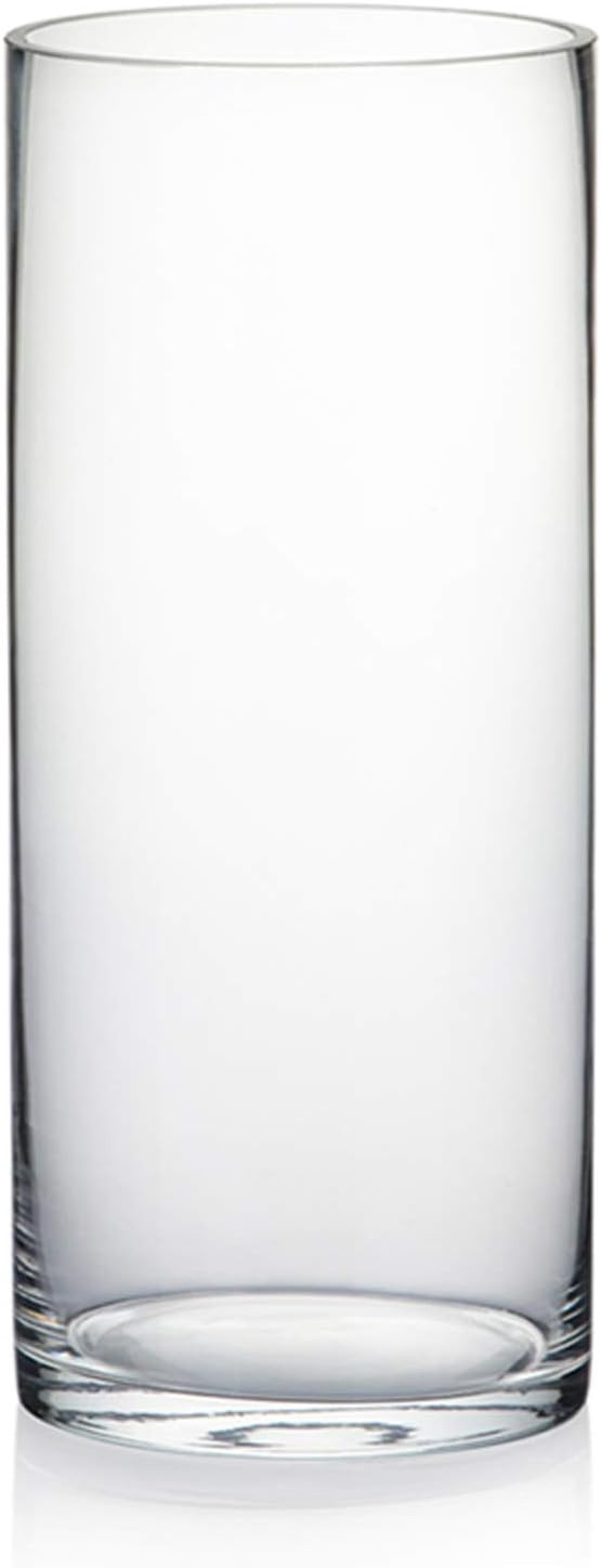 WGV Cylinder Vase, Diameter 5", Height 12", Clear Glass Floral Planter Container, Tall Centerpiec... | Amazon (US)