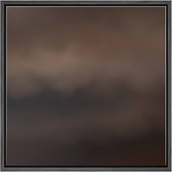 SIGNFORD Framed Canvas Print Wall Art Dark Moody Abstract Soft Brown and Black Cloudy Illustratio... | Amazon (US)