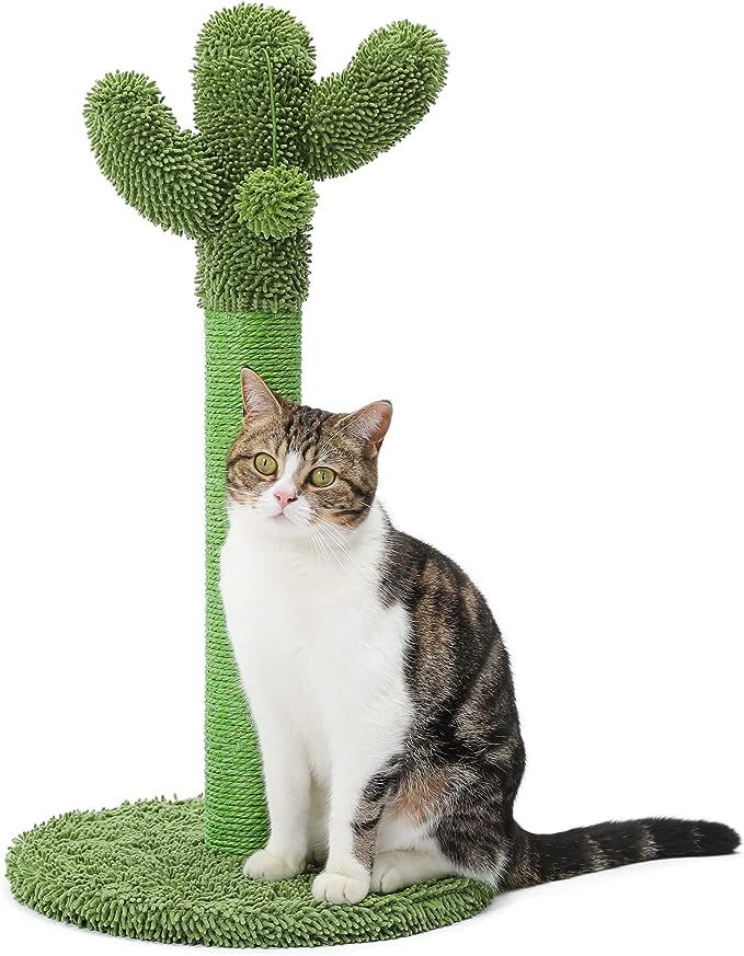 Made4Pets Cat Scratching Post, 25.6" Cactus Cat Scratcher Kitten Scratch Post with Sisal Rope for... | Amazon (US)