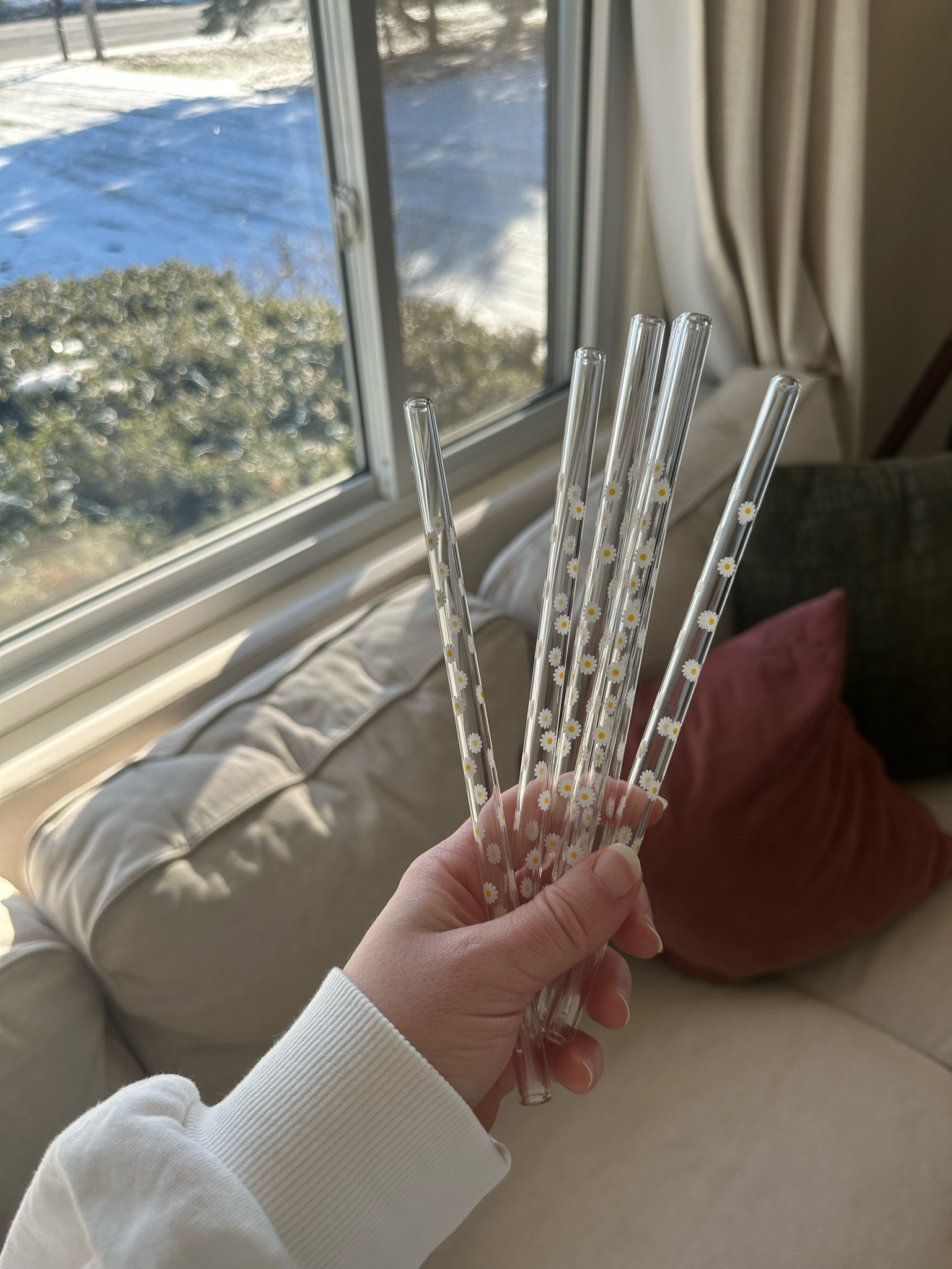 Cutest glass reusable straws for coffee, cocktails and more! Love the Daisy print! Comes in other colors too! 

#LTKHome