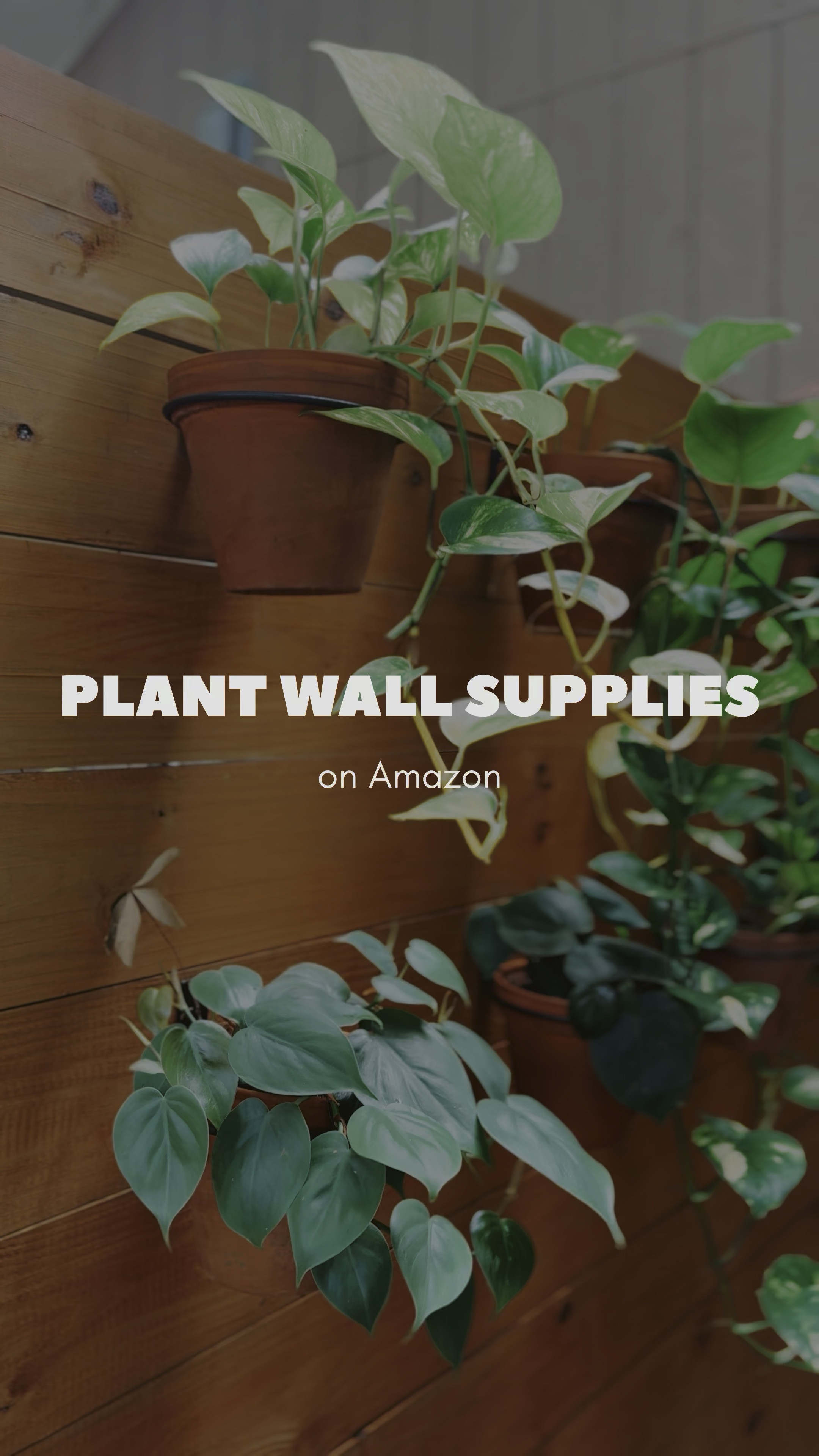 Here’s everything you need to know about the plant wall that you need to create 👏! It’s so easy to install a plant wall with these affordable supplies off Amazon.

Plants, design, garden wall, gardener, plant decorating, Amazon finds 

#LTKSummerSales #LTKHome #LTKVideo