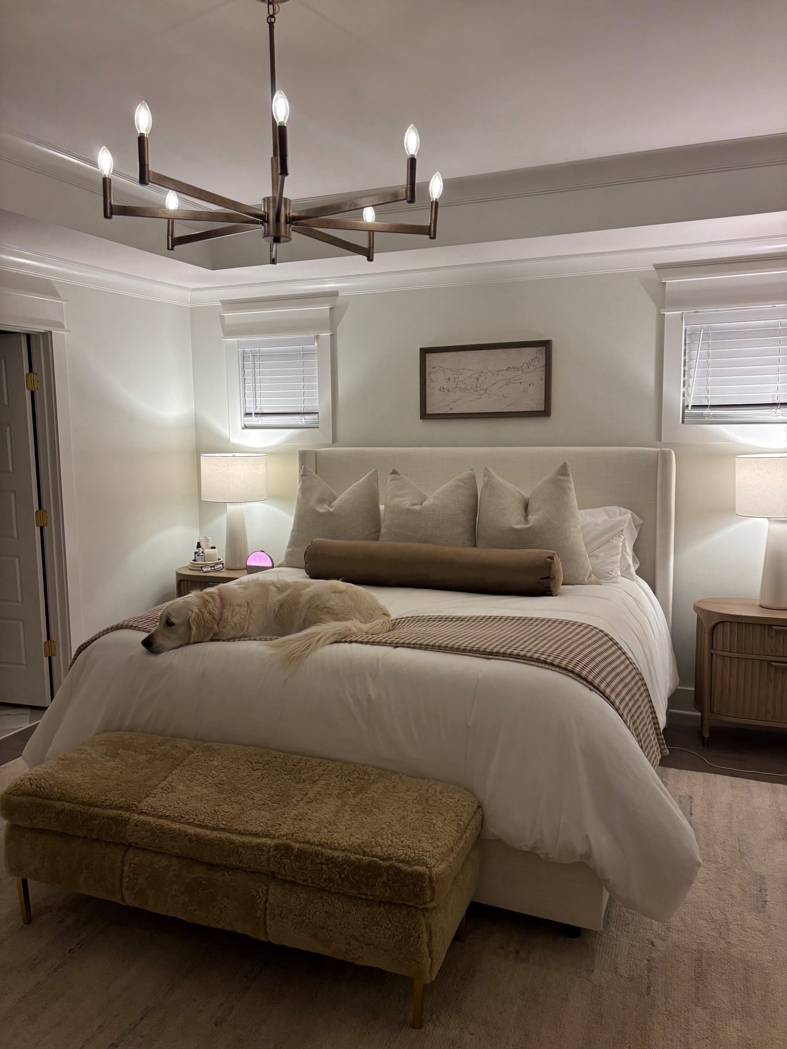 all the cozy vibes 🤍🐶🫶🏼 

#LTKHome