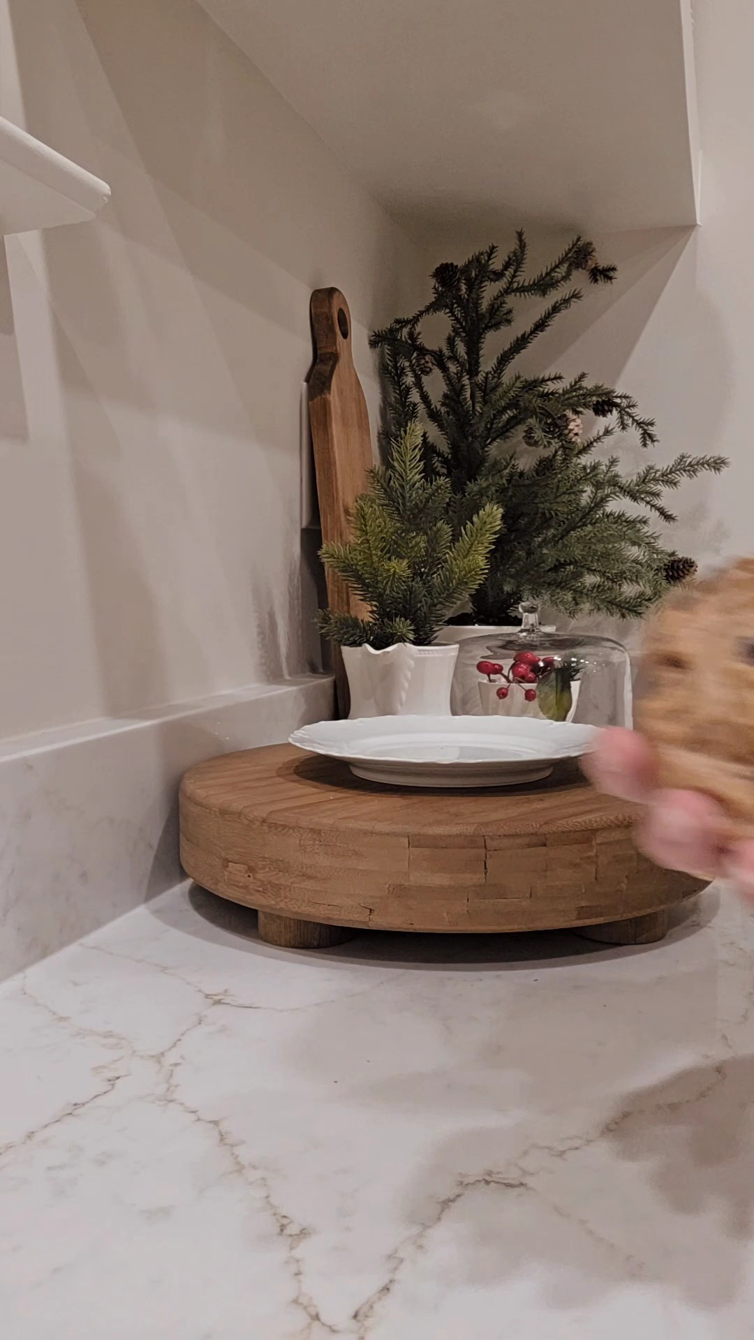 These faux fake cookies are so realistic looking,  I had to have a little fun with my family

#LTKmomlife #LTKfoodie #LTKHome