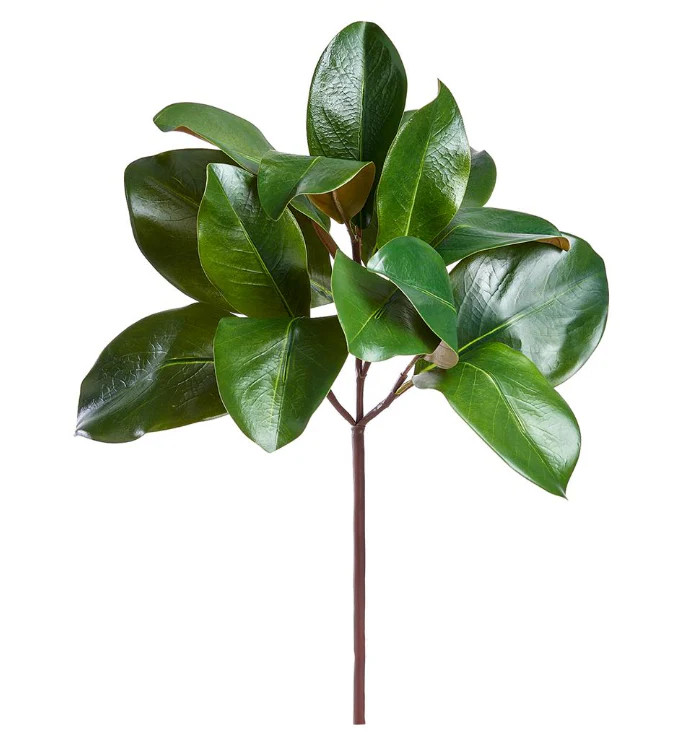 16" Magnolia Leaf Pick | House of Blum