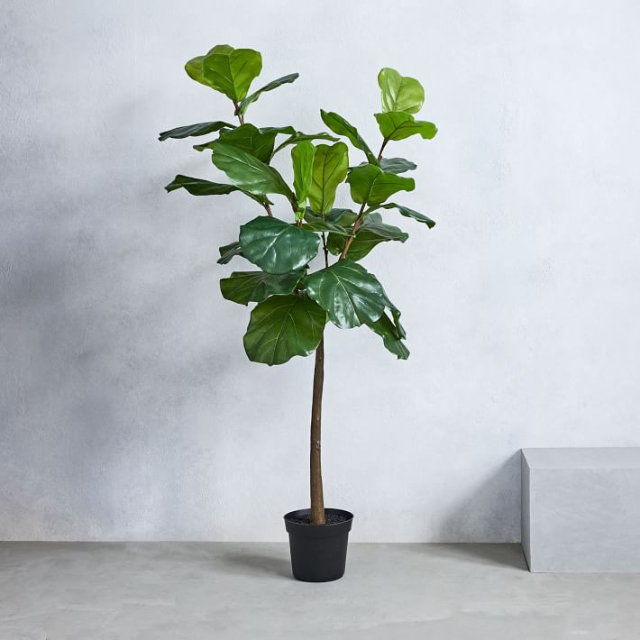 Faux Potted Fiddle Leaf Fig Tree - 5' | West Elm (US)