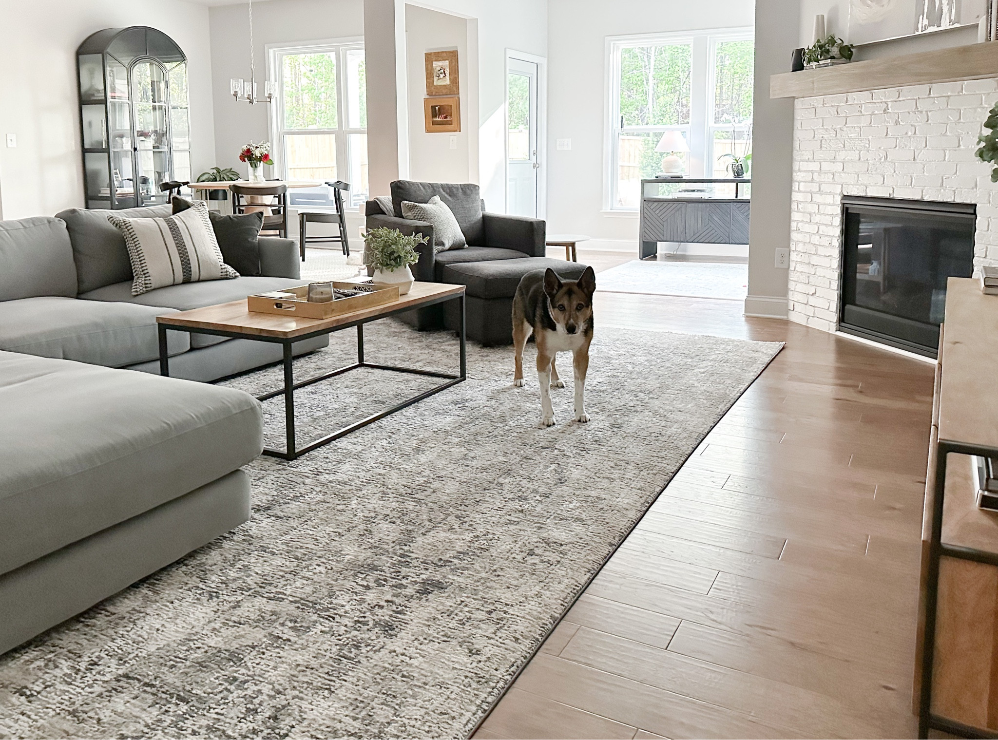 New house, new rug! 🖤 #amberlewis #loloii #leighallisondesign

#LTKhome