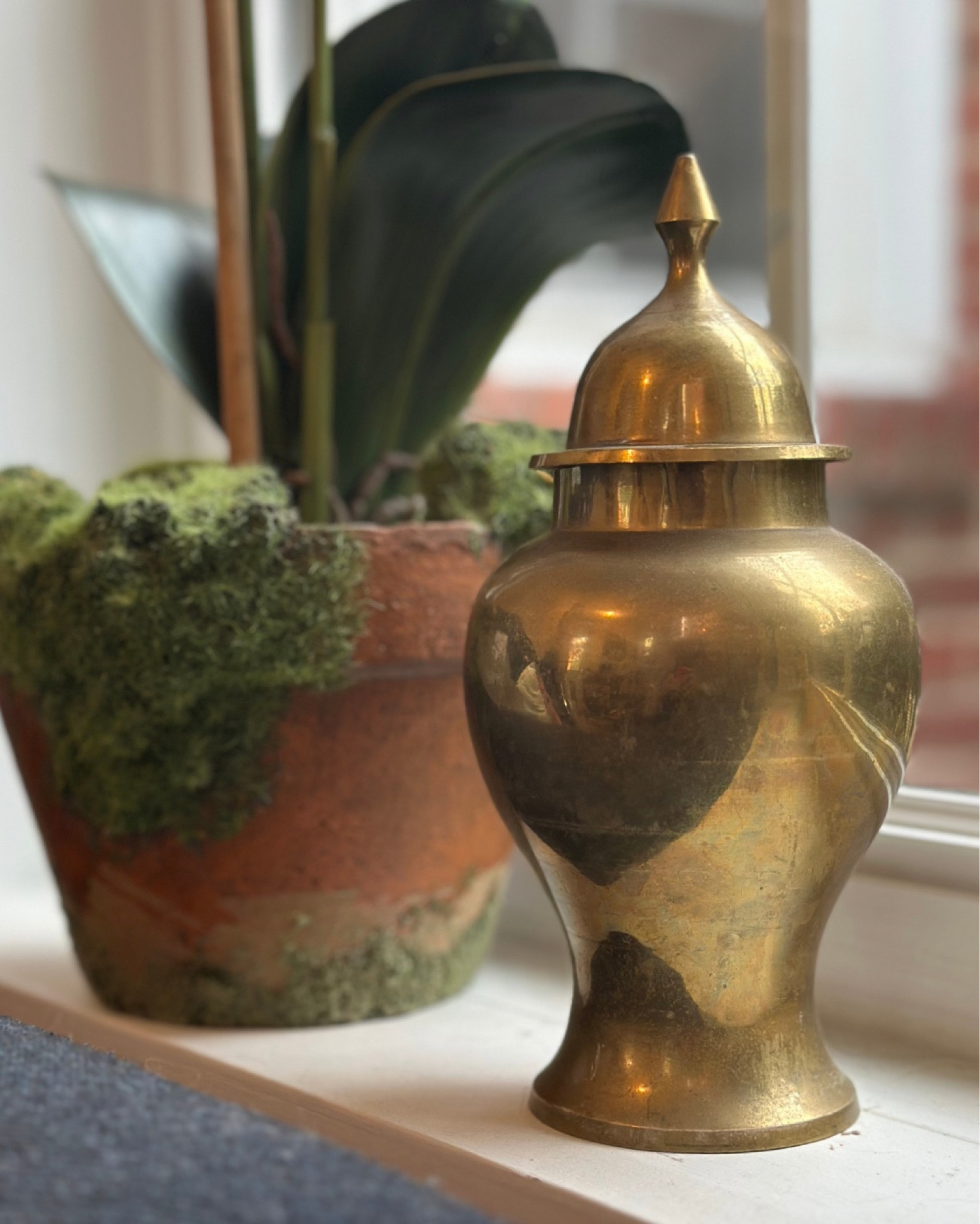 Vintage brass perfection ✨ This ginger jar is one of my favorite brass finds—such a timeless accent piece. I’ve linked similar styles so you can add a touch of warmth and character to your space! #vintage #brass #CollectedHome

#LTKHome #LTKMostLoved