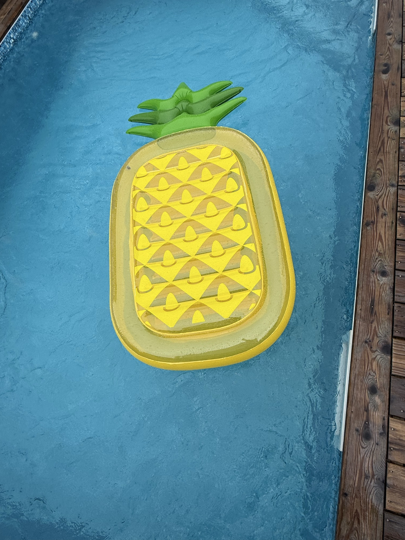 My favorite pool float

#LTKHome #LTKSwim #LTKFamily