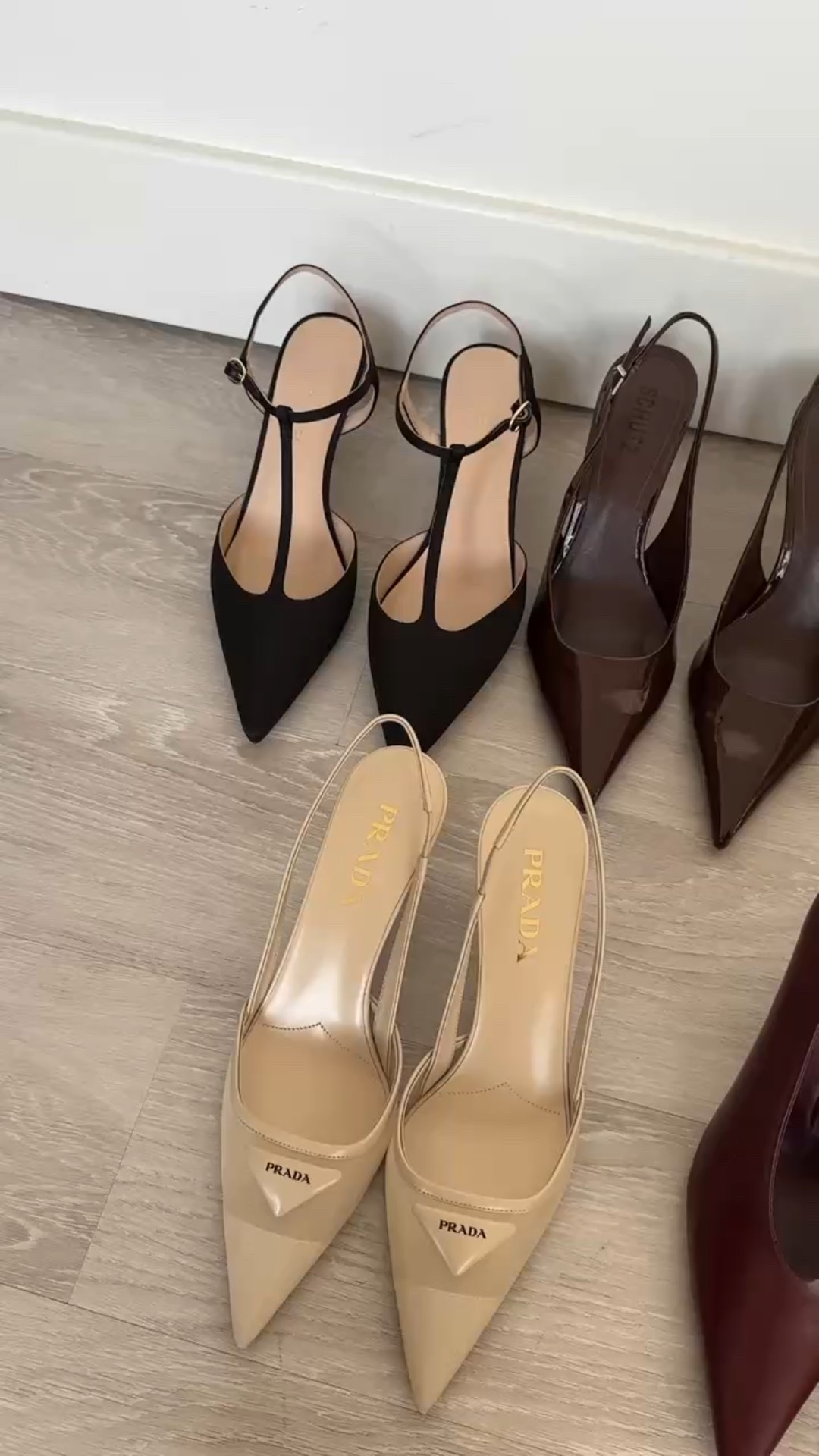 Some of my favorite pumps! 

#LTKShoeCrush #LTKWorkwear #LTKHoliday