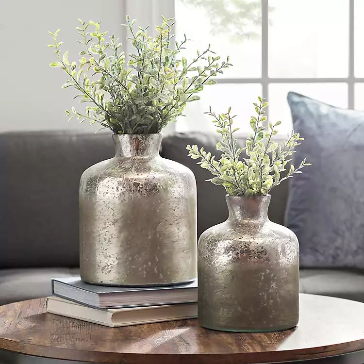 Zola Silver Mercury Glass Jug Vases, Set of 2 | Kirkland's Home