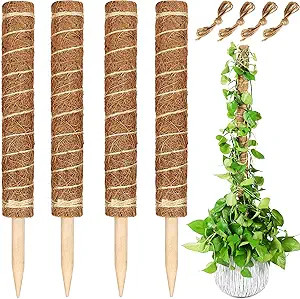 JJGoo Moss Pole, Coco Coir Totem Pole, 50 inch Moss Stick, Plant Support, Plant Stakes, 4 Pack 15... | Amazon (US)
