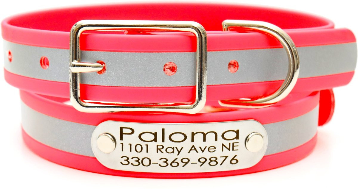 Mimi Green Waterproof Reflective with Riveted Name Plate Dog Collar, Pink, Large 1" | Chewy