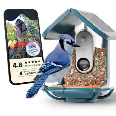 Bird Buddy - Smart Bird Feeder w/ Solar Roof (Pro Camera Version w/ Extended Perch) - Blue | Best Buy U.S.