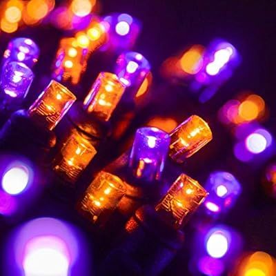 LED Purple, Orange Halloween Mini Light Set, 70 5mm Lights, Indoor / Outdoor Halloween Light Deco... | Amazon (US)