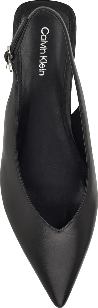 Calvin Klein Galiana Slingback Pointed Toe Flat (Women) | Nordstrom | Nordstrom