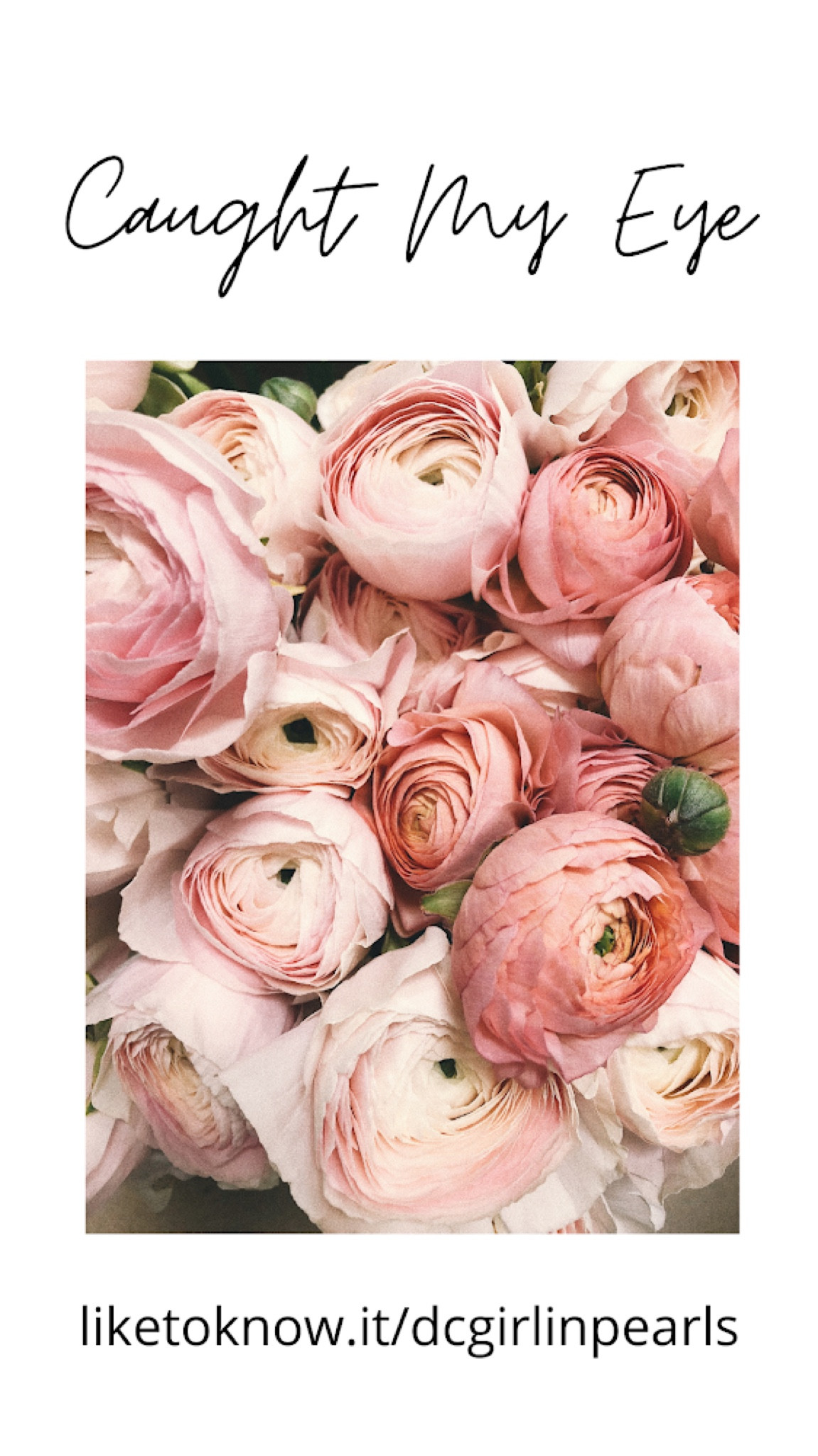 Caught My Eye - January 15, 2023


#LTKFind #LTKworkwear #LTKGiftGuide