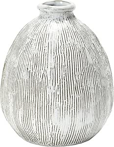 Creative Co-Op Terra Cotta, White Vase | Amazon (US)