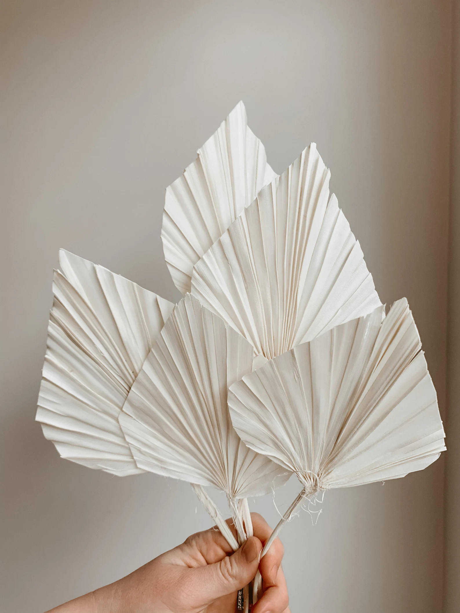 PALM SPEARS (3st)- Bleached White Palm Spears, Boho Minimal Scandi Wedding Baby Shower Home Decor... | Etsy (US)