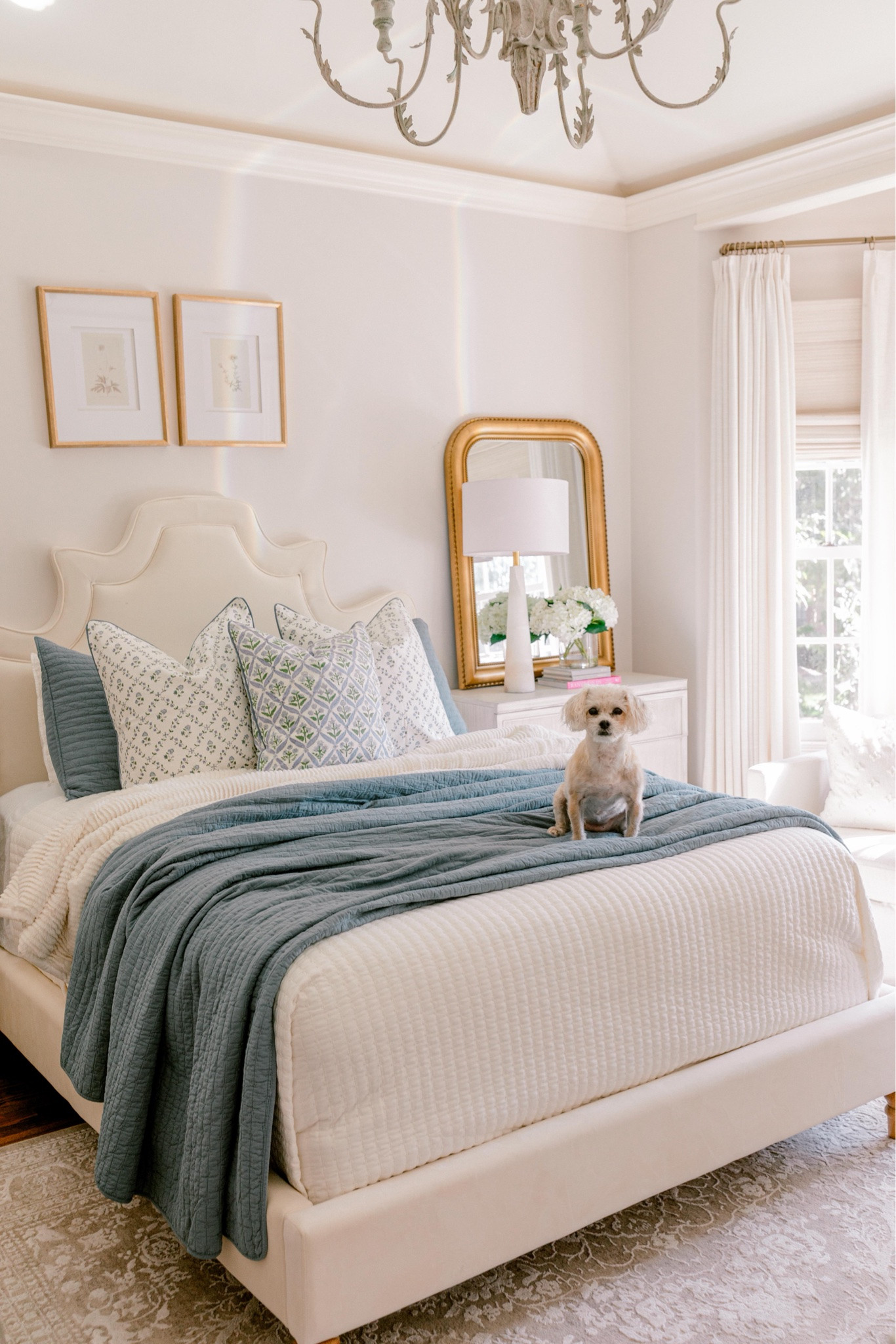Guest bedroom views!

#LTKSaleAlert #LTKHome #LTKActive