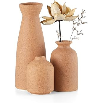 CEMABT Brown Ceramic vase Set-3 Small Flower vases for Decor,Modern Boho Farmhouse Home Decor,Dec... | Amazon (US)