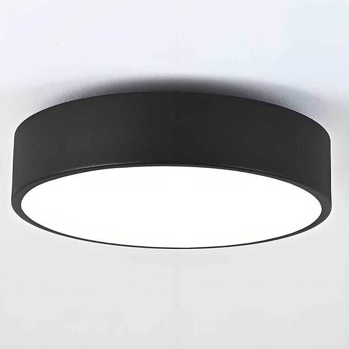Modern Black Flush Mount Ceiling Light, 2-Lights Round Ceiling Light, Minimalistic Ceiling Lamp A... | Amazon (US)