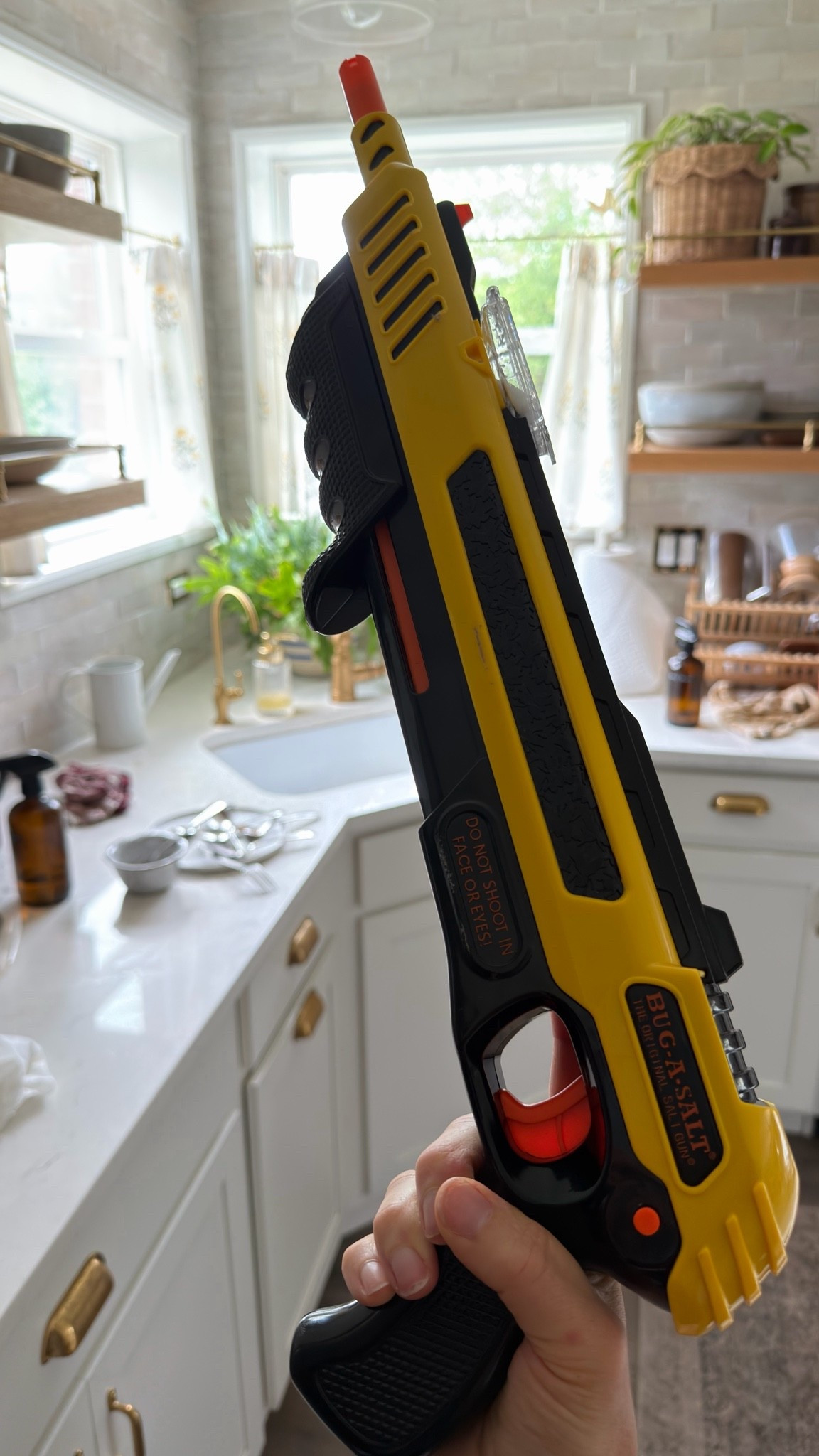 FATHERS DAY GIFT IDEA: This bug salt gun is so much more fun and effective than a fly swatter.

#LTKHome #LTKSaleAlert #LTKMens