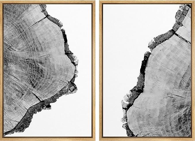 SIGNWIN Framed Wall Art Print Set Black & White Close Up Tree Ring Details Nature Wilderness Phot... | Amazon (US)