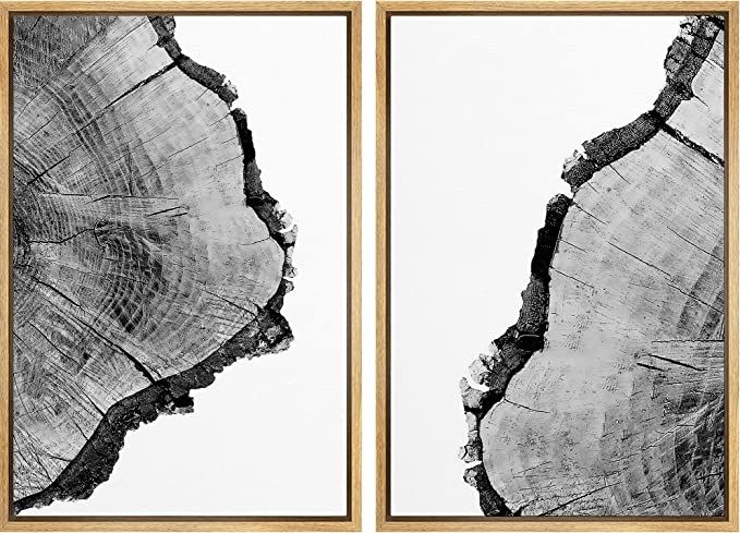 SIGNWIN Framed Wall Art Print Set Black & White Close Up Tree Ring Details Nature Wilderness Phot... | Amazon (US)