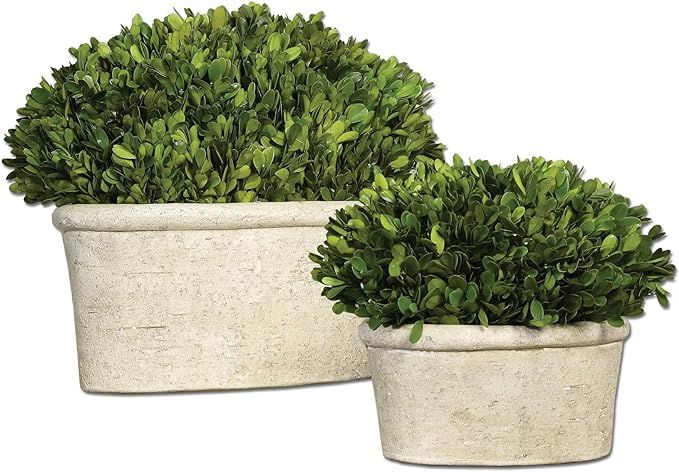 60107 Uttermost Oval Domes Preserved Boxwood Set/2 | Amazon (US)