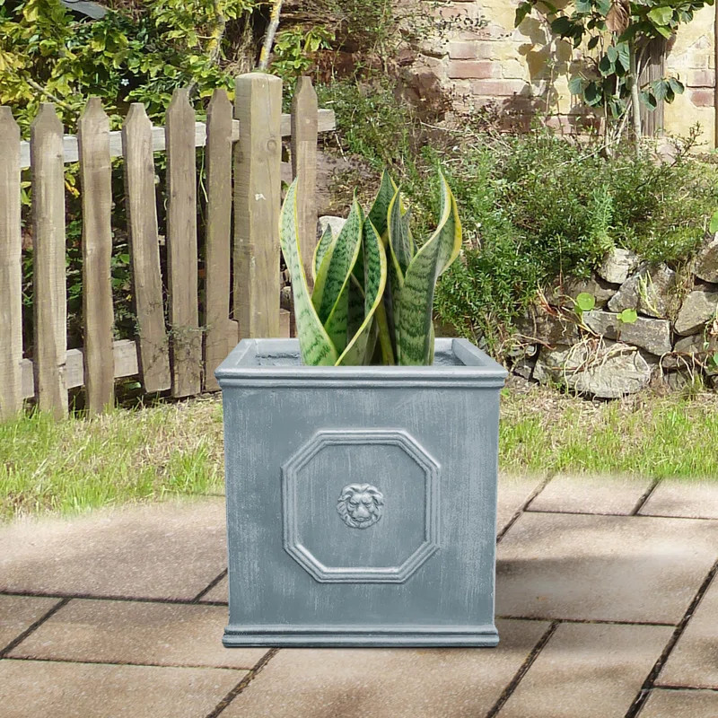 Hillevi Planter Box | Wayfair North America