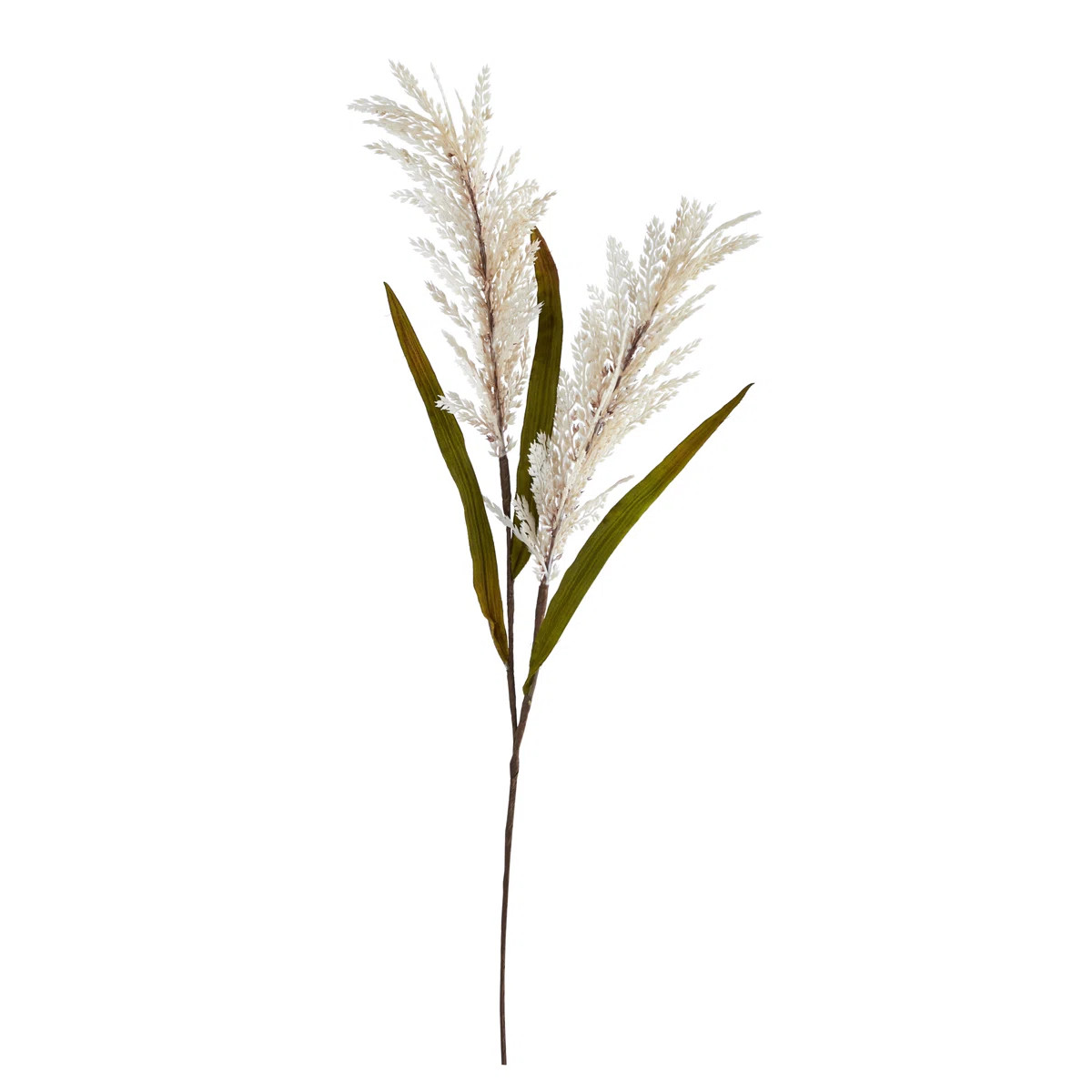 Sorghum Arrangement (Set of 12) | Wayfair North America