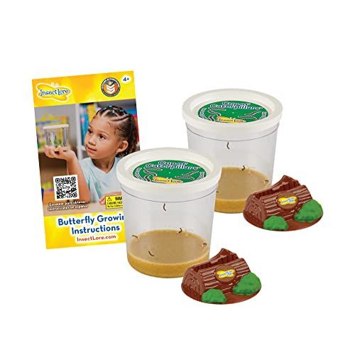 Insect Lore Two Cups of Caterpillars - Butterfly Garden Kit Refill – Raise and Release Painted Lady Butterflies – Includes Two Chrys-A-Lid Holding Logs and Instructions | Amazon (US)